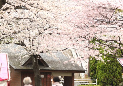 思い込みは年のせい? 思い込みは年のせい?